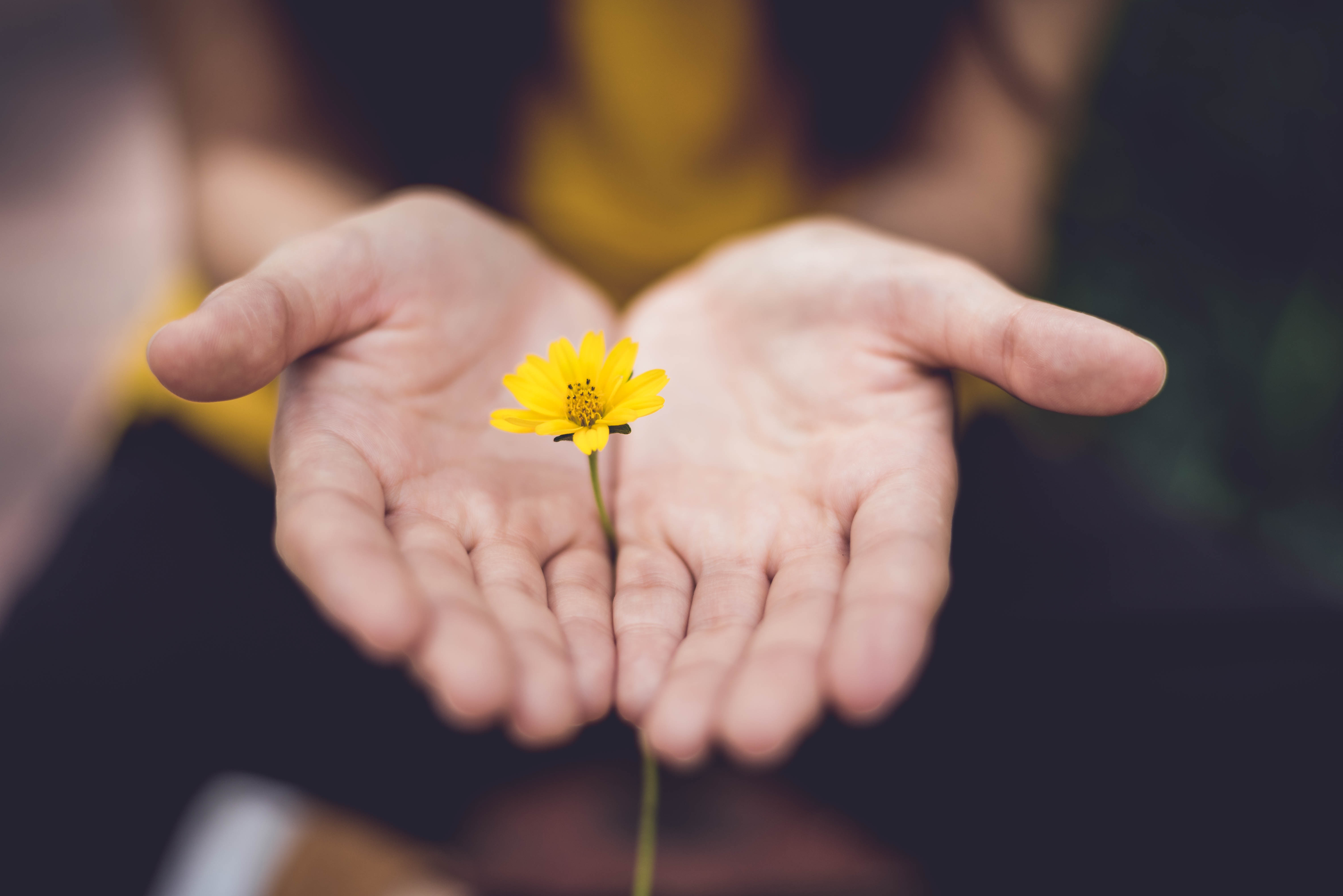 Open Hands with Flower